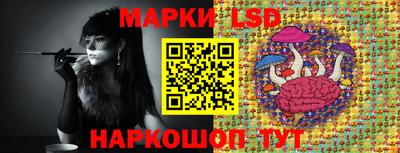 apvp Донской